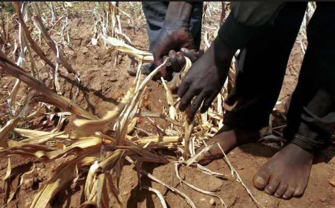 Changement climatique : le Congo prépare sa requête à soumettre au fonds vert