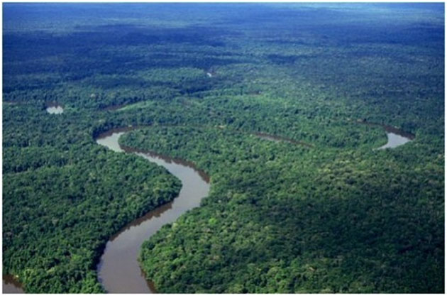 Bassin du Congo : le sommet sur le Fonds bleu renvoyé au 27 avril prochain