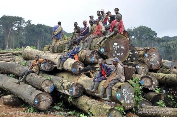 Congo : le haut commissariat des nations unies appelle à l’aide des réfugiés !