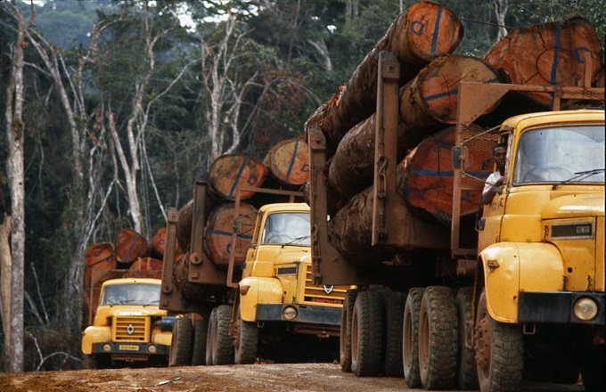 7 grumiers de la société Taman-Industrie pris en otage dans un village du Congo