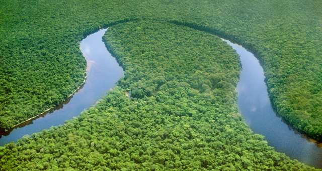 Brazzaville abritera le forum sur la gouvernance forestière régionale