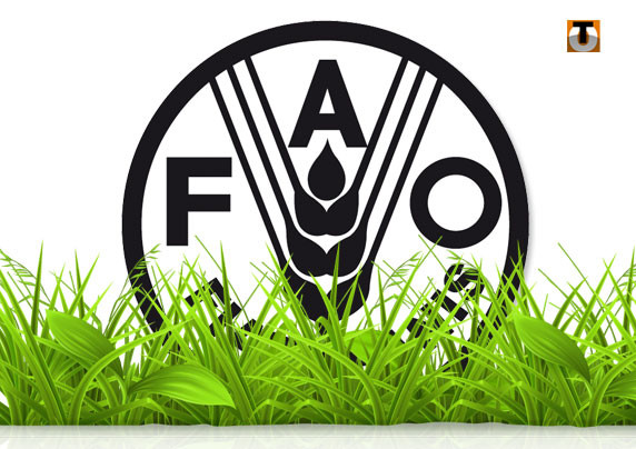 La FAO appuie le Congo dans l’élimination des pesticides dangereux