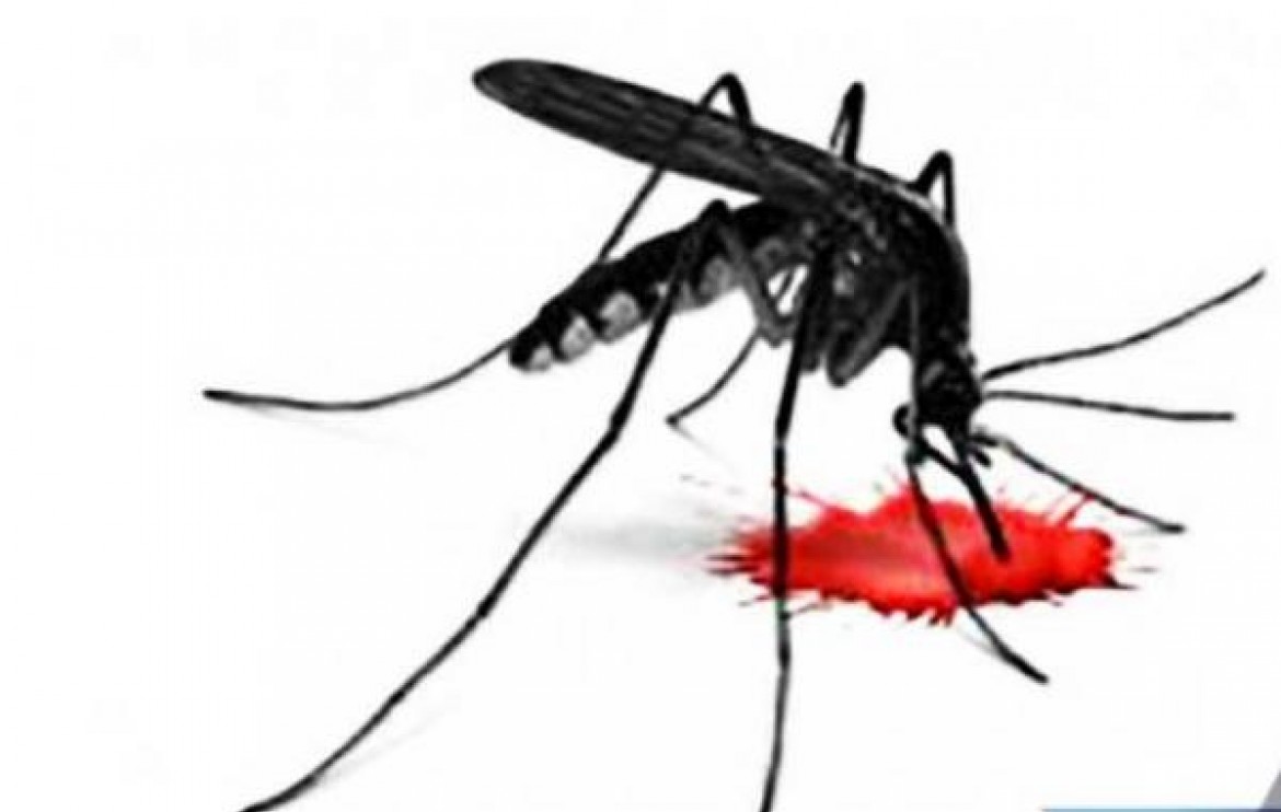 Congo : vers l’actualisation des indicateurs du paludisme