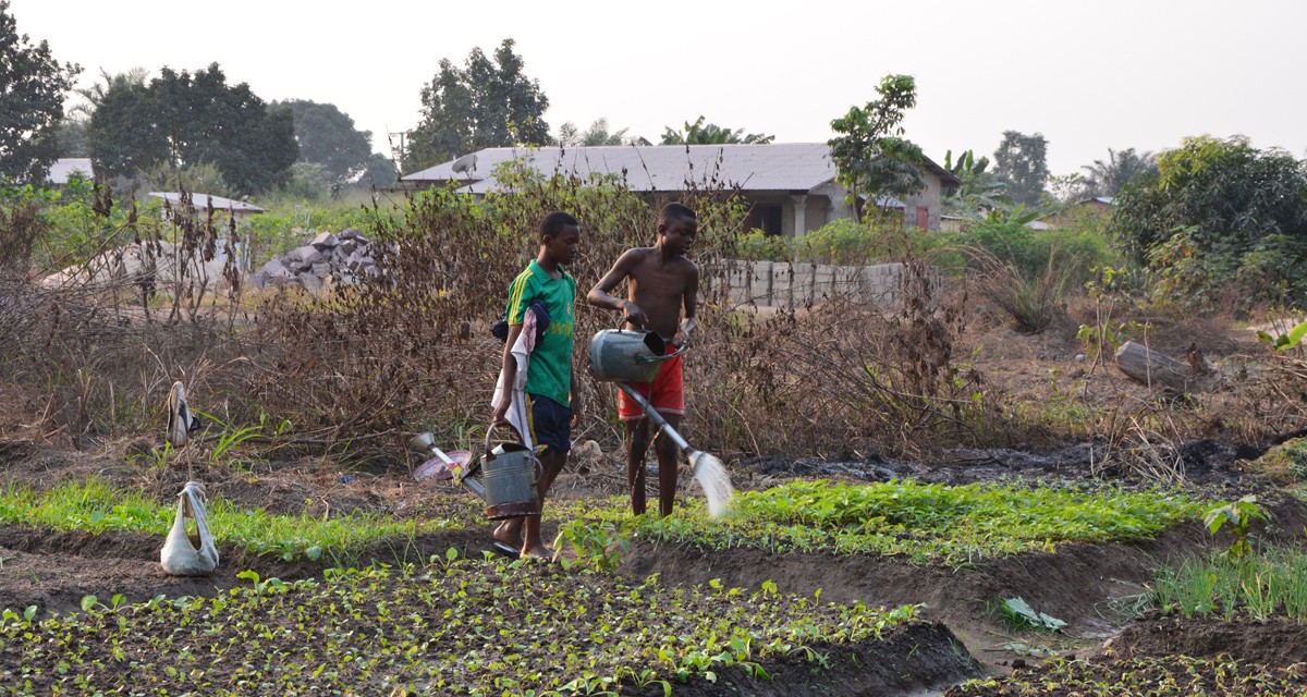 Entrepreneuriat : les jeunes congolais appelés à s’imprégner du secteur agricole