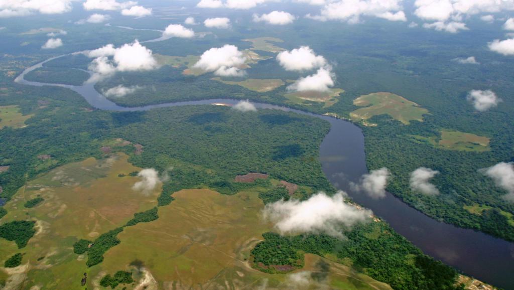 Congo : la gouvernance forestière au cœur d’un forum régional