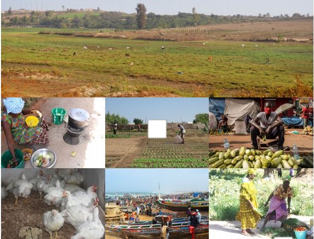 Sénégal : lancement d’un projet de recherche Covid-19 et protection sociale