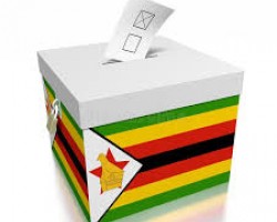 Zimbabwe : la date des élections partielles connue