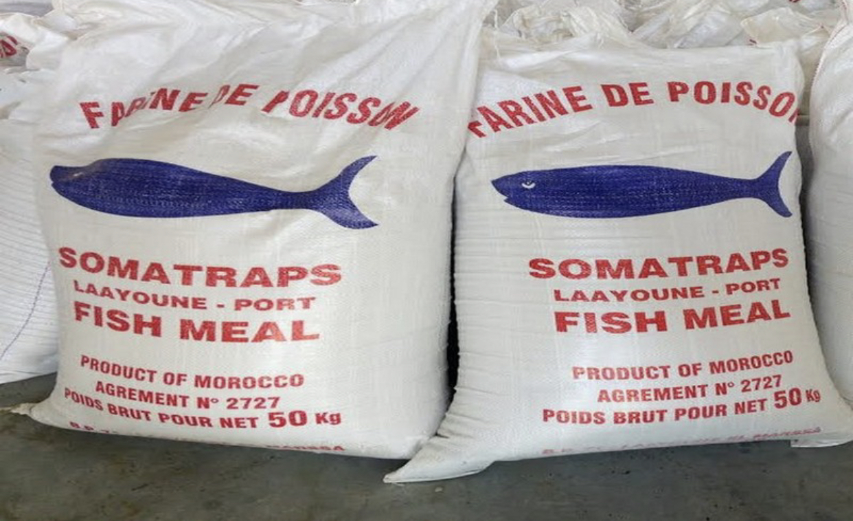 Sénégal : haro sur les usines de farine de poissons