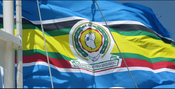 Rwanda : sommet extraordinaire des chefs d’Etat de la CAE