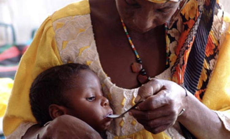 Sahel : 40 millions de personnes menacées de famine