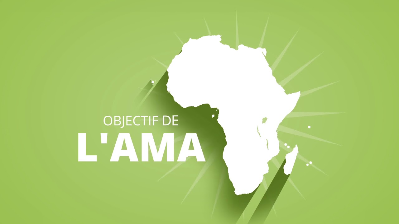 UA: le Maroc ratifie le traité portant création de l’Agence Africaine du Médicament