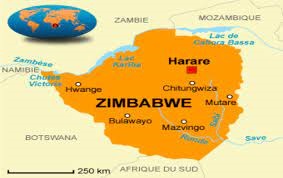 Zimbabwe : chute de la production de maïs
