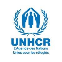 Le Niger enregistre un afflux de réfugiés venant de ses voisins