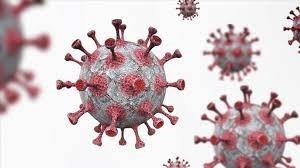 La variole du singe se propage en Afrique