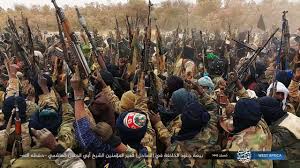 Jihadisme : l’inquiétante expansion de l’Etat islamique en Afrique