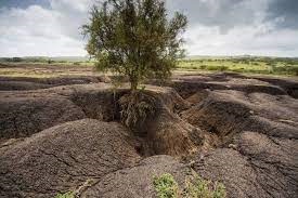Sénégal : vers l’atténuation de l’érosion des sols