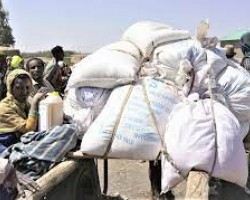 L’Ethiopie réceptionne une 1ère cargaison de céréales d’Ukraine