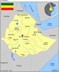 Ethiopie : l’armée reprend plusieurs villes du Tigré