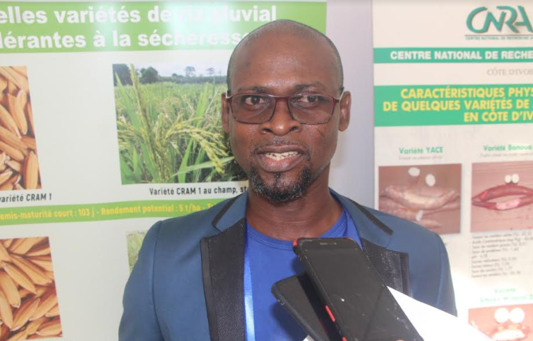 Côte d’Ivoire : des solutions contre des ravageurs du maïs