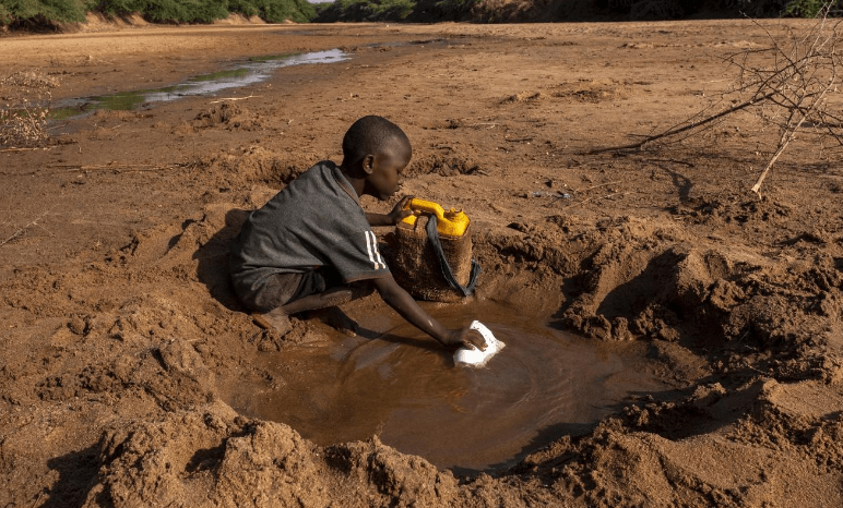 Une crise de sécheresse menace la Corne de l’Afrique