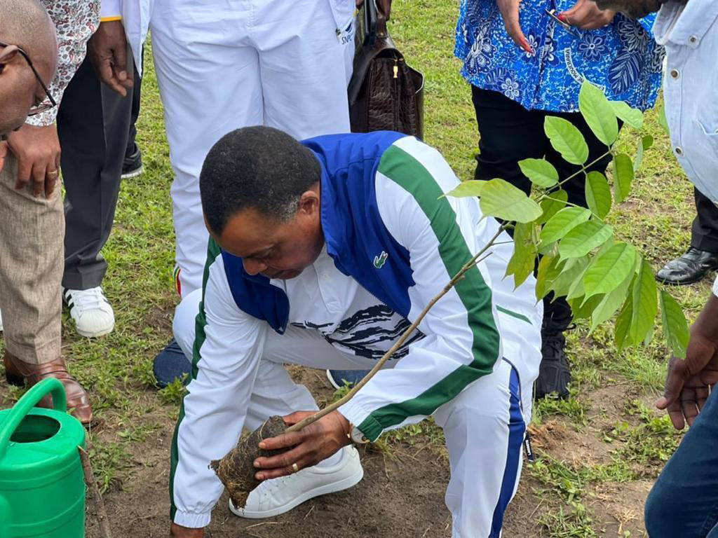 Congo : Denis Sassou N’Guesso plante un arbre à Oyo
