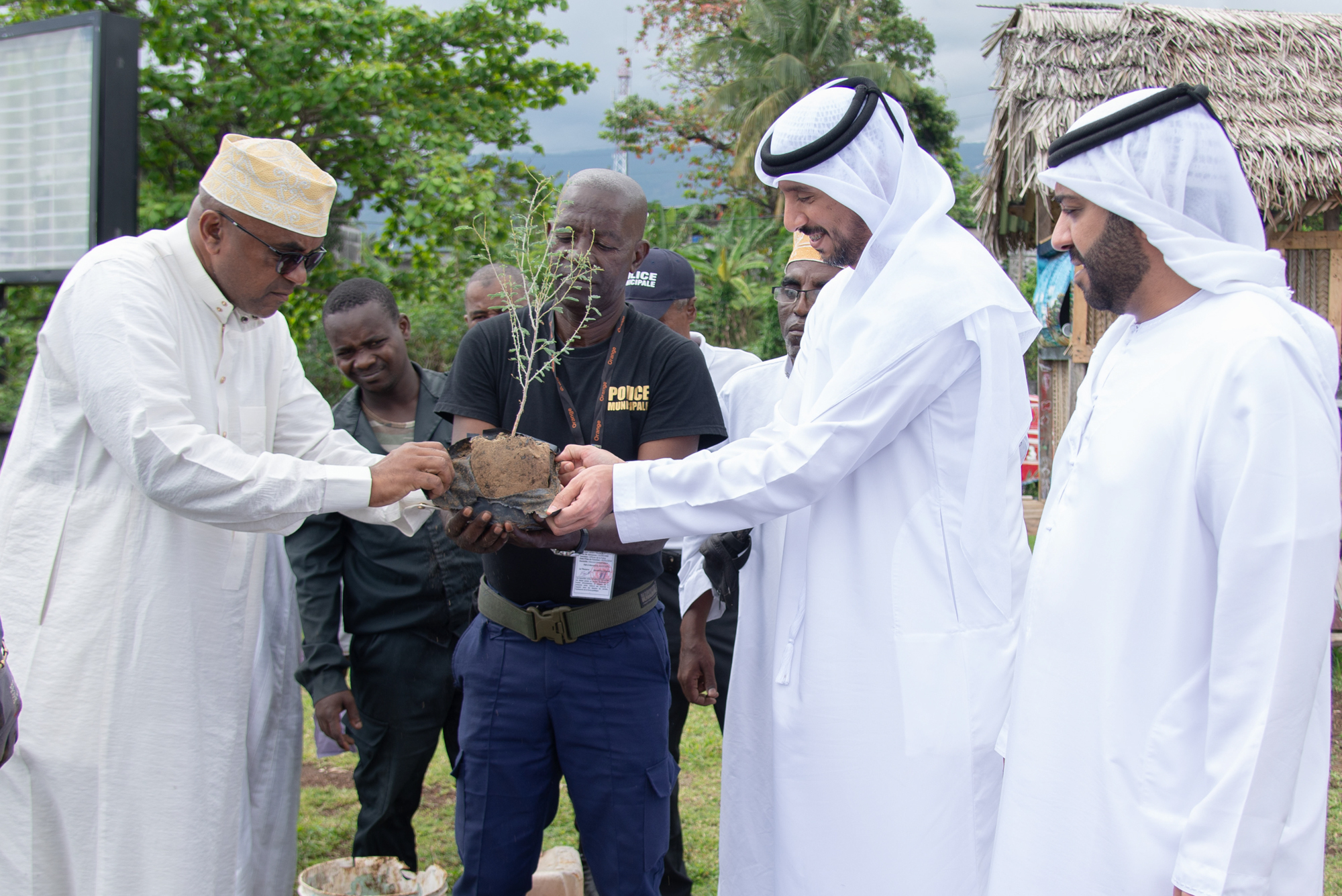 51e anniversaire des relations EAU-Afrique : les EEAU offrent 51 arbres prosopis à leurs partenaires sur le continent