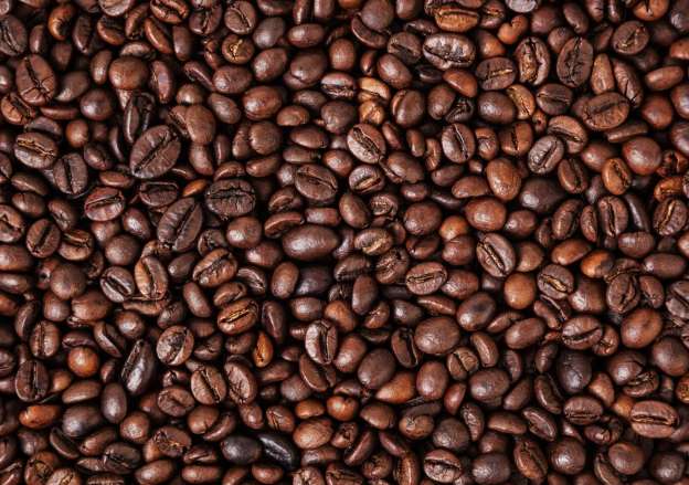 Éthiopie : 615 millions de dollars tirés des exportations de café
