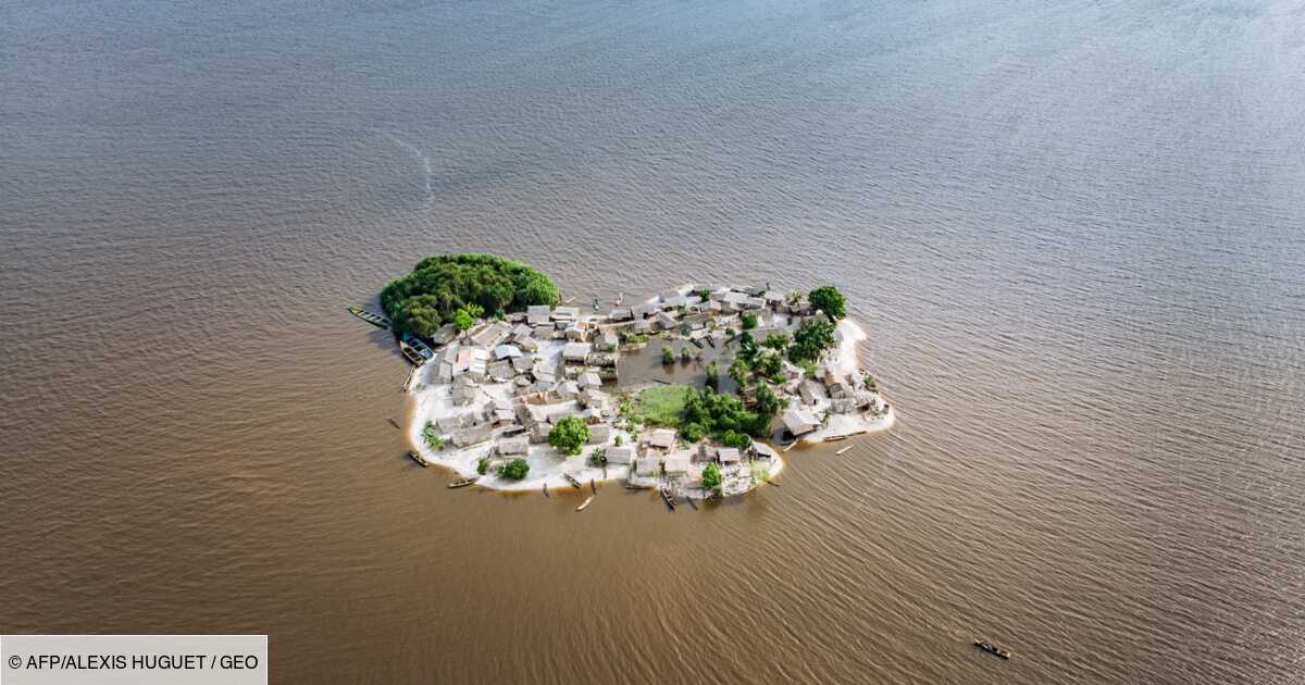 Congo-Pnud : ensemble pour protéger les mangroves