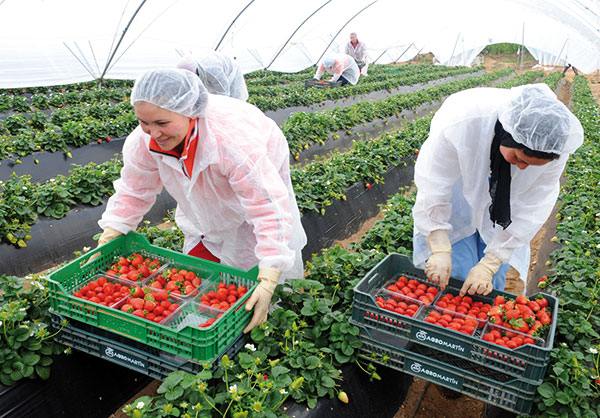 Congo : le Maroc disposé partager son expertise agricole