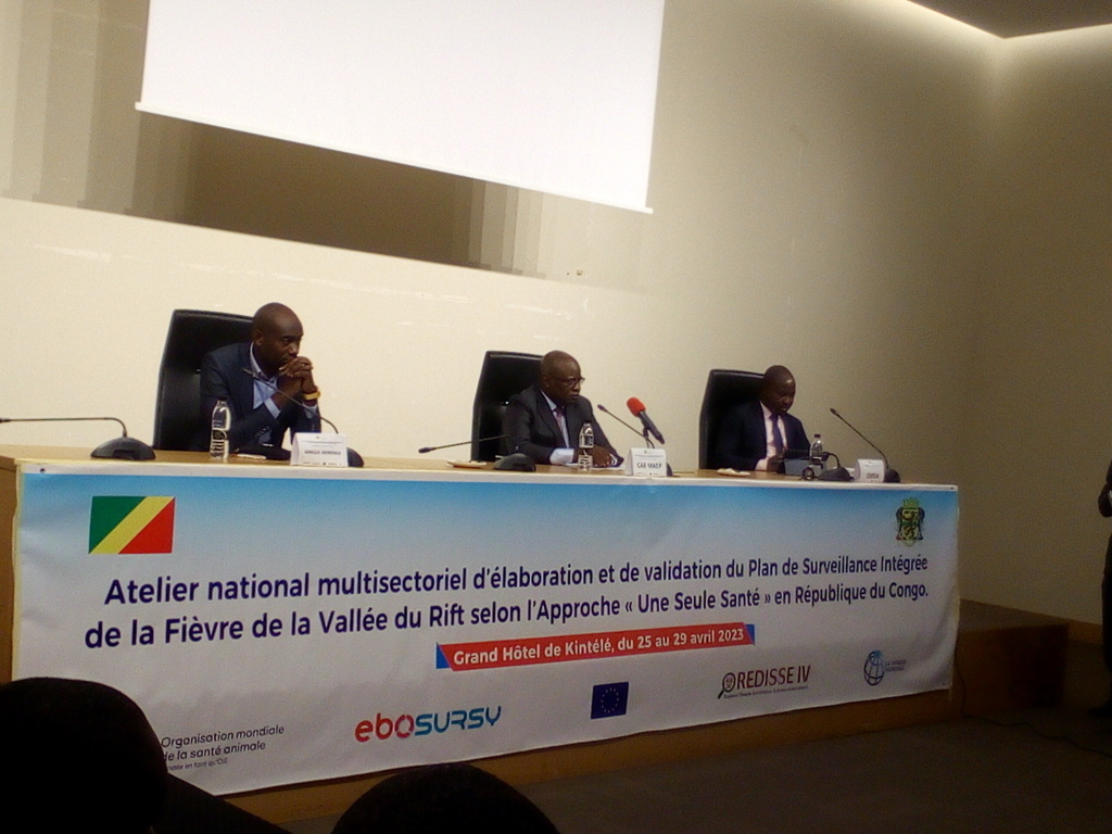 Congo : validation du plan de surveillance intégrée de la FVR