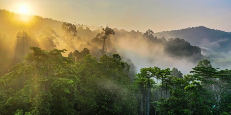 Coopération : la Chine et le Congo renforcent leurs liens sur le développement durable