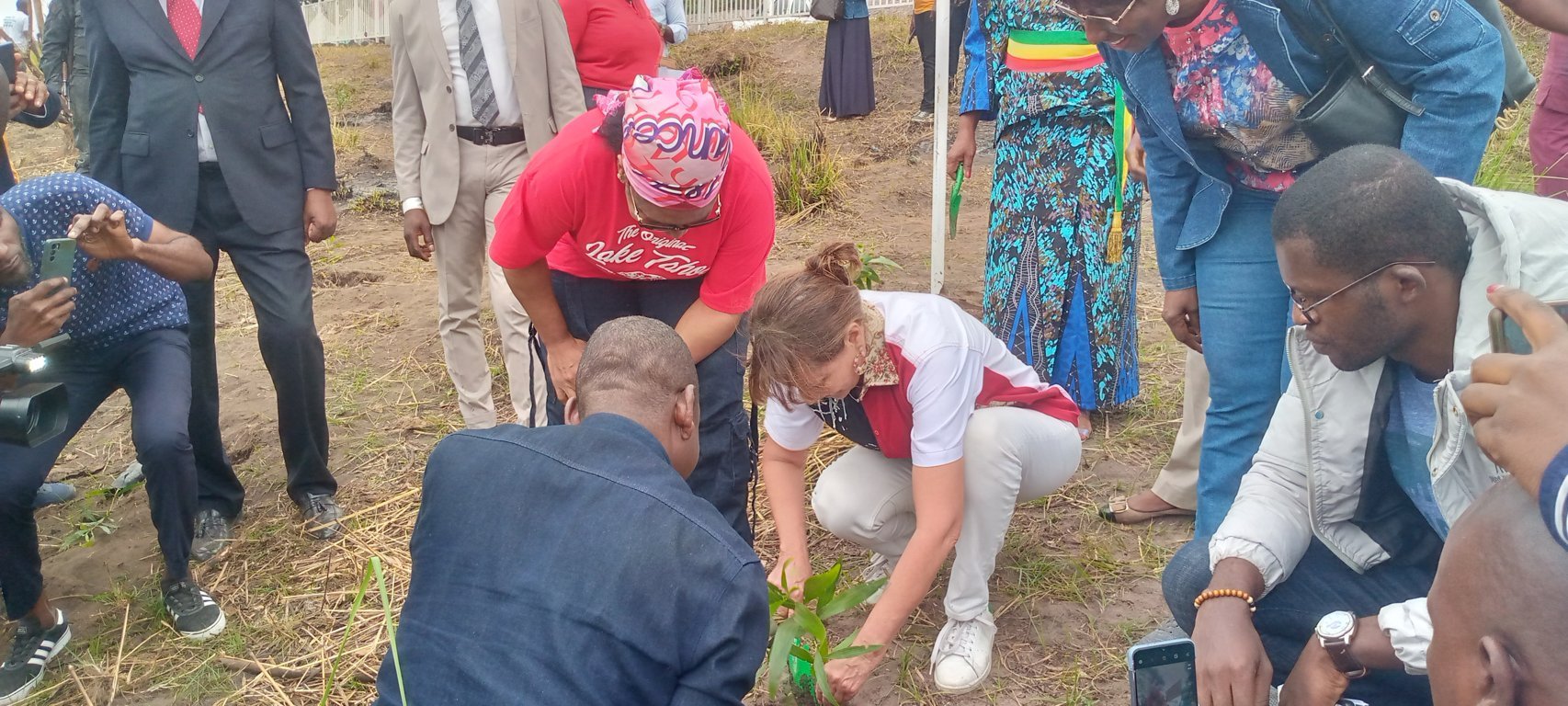 Congo : 2500 plants d’acacia pour lutter contre la déforestation