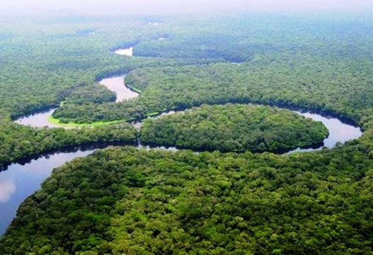 Bassin du Congo : 30 milliards F pour la protection de l’environnement