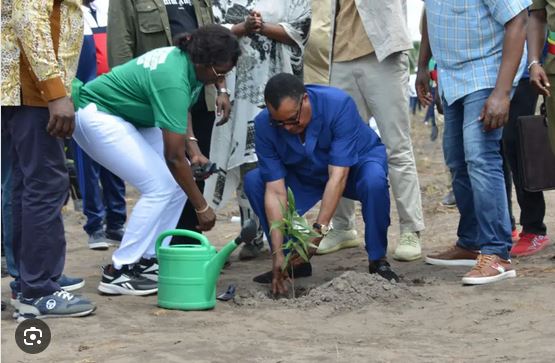 Congo-journée nationale de l’arbre :  1200 plants mis en terre
