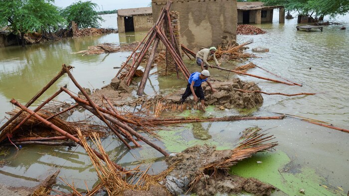 Congo : plus de 8072 ménages reçoivent une assistance humanitaire