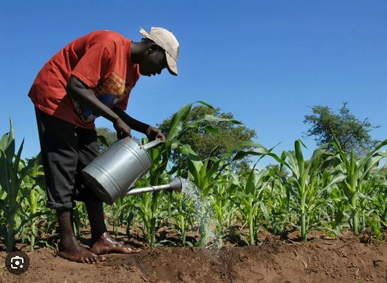 Congo : 76% des entreprises incubées par Kosala sonr tenues pas des femmes