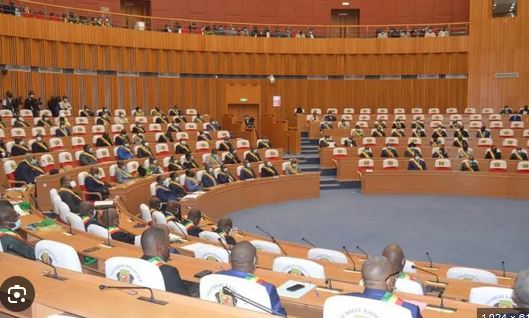 Congo : le Parlement adopte le projet de loi portant création de l’ANIRSJ