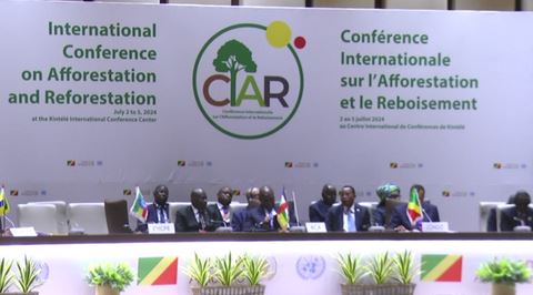 Congo-Ciar : plus de financements pour reboiser les forêts africaines