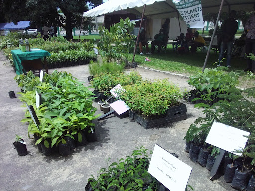 Congo-Foire aux plants : plus de 220 000 plants variés sont exposés