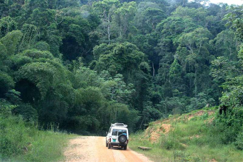Congo : la réserve de biosphère de Dimonika menacé par les activités illicites